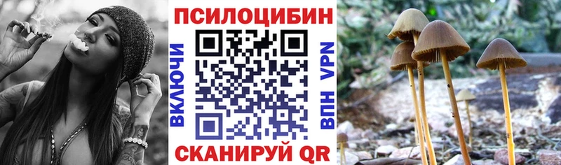 Купить закладки  Нариманов  Галлюциногенные грибы MAGIC MUSHROOMS 